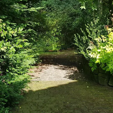 Ferienwohnungen-waldblick-wohnung-1