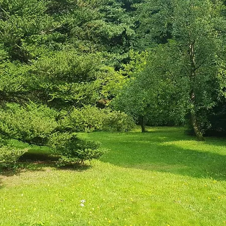 Ferienwohnungen-waldblick-wohnung-1 빌데만
