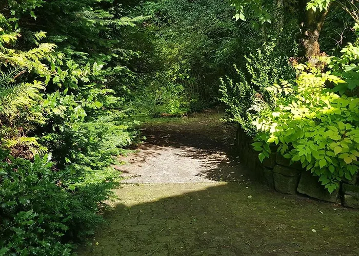 Ferienwohnungen-waldblick-wohnung-1