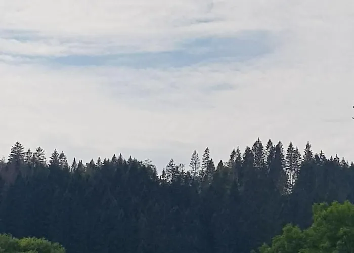 Ferienwohnungen-waldblick-wohnung-1 Διαμέρισμα