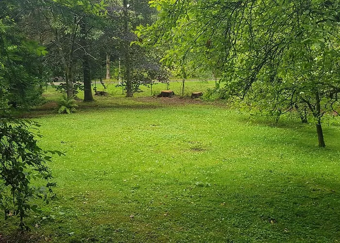 Διαμέρισμα Ferienwohnungen-waldblick-wohnung-1