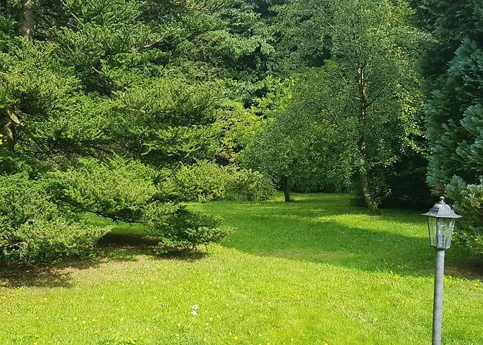 Ferienwohnungen-waldblick-wohnung-1 Wildemann